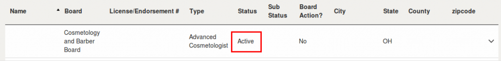 Example of ACTIVE license
